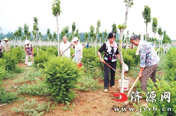 濟(jì)源網(wǎng)