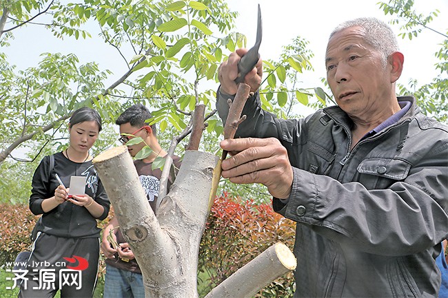 濟(jì)源網(wǎng)