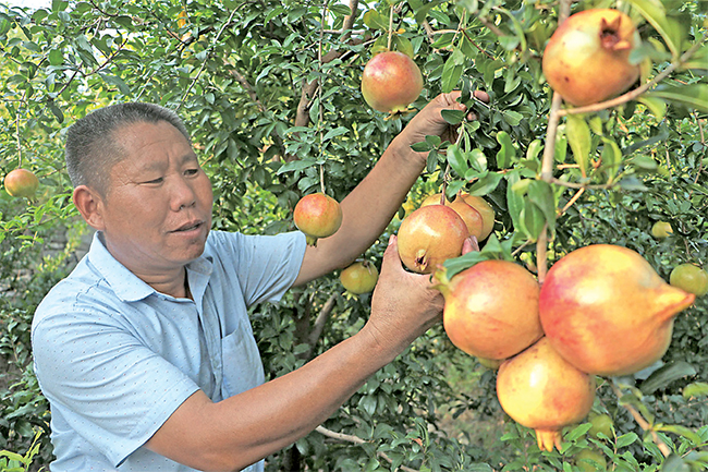 濟源網(wǎng)
