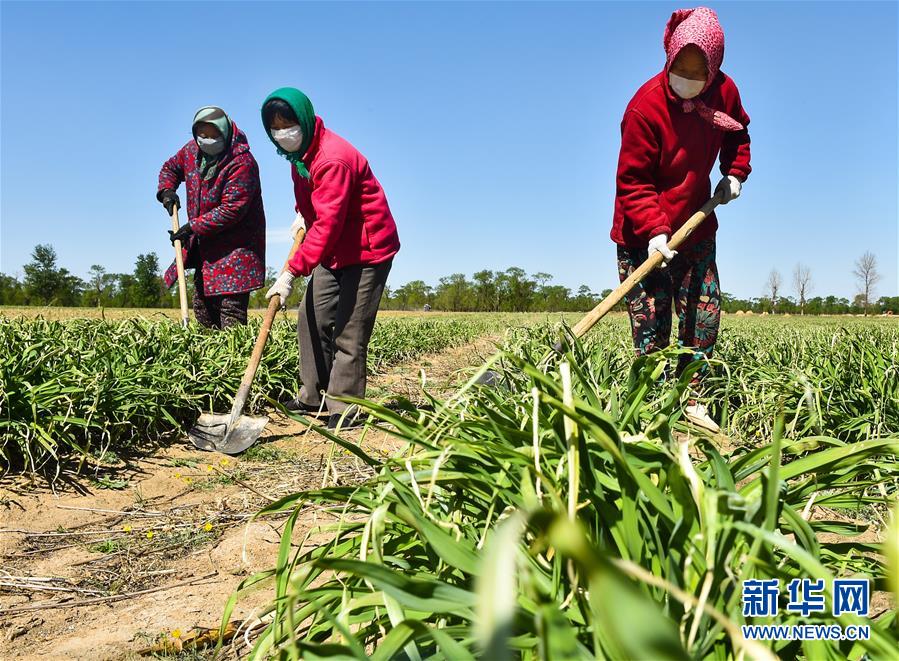 （新華全媒頭條·圖文互動(dòng)）（17）從人民中汲取磅礴力量——習(xí)近平總書(shū)記同出席2020年全國(guó)兩會(huì)人大代表,、政協(xié)委員共商國(guó)是紀(jì)實(shí)