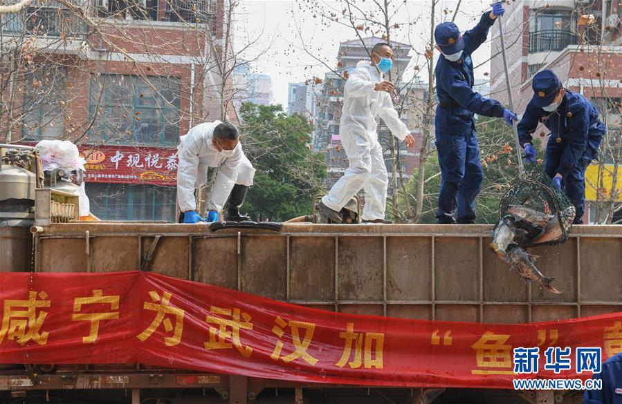 （新華全媒頭條·圖文互動(dòng)）（12）從人民中汲取磅礴力量——習(xí)近平總書(shū)記同出席2020年全國(guó)兩會(huì)人大代表,、政協(xié)委員共商國(guó)是紀(jì)實(shí)