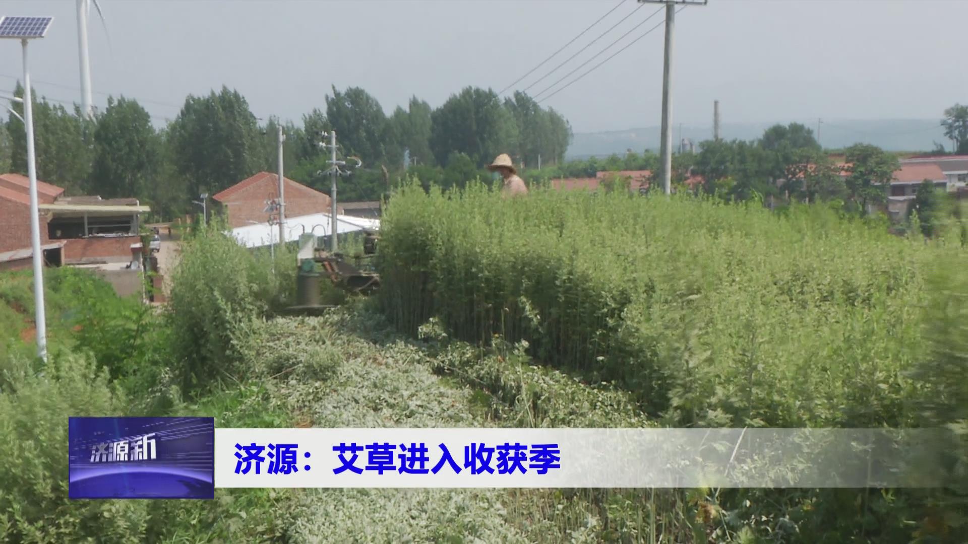 濟源網(wǎng)