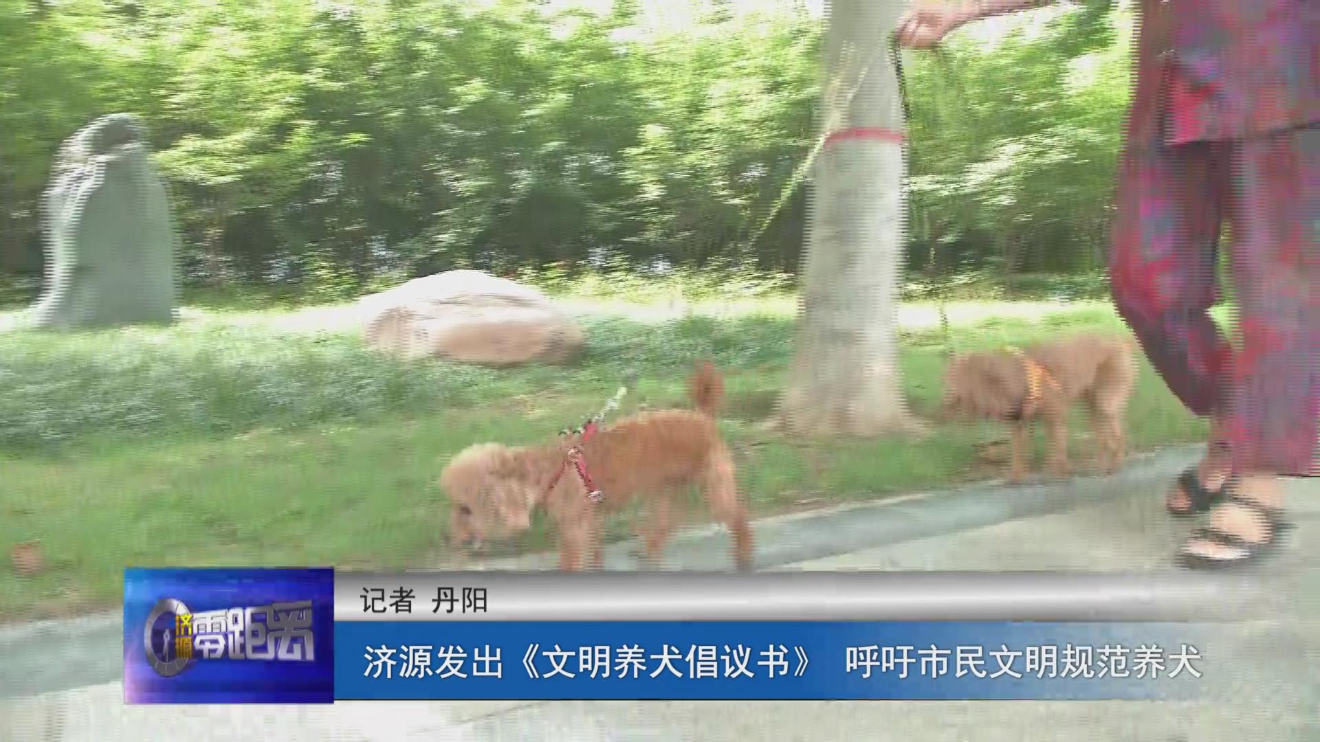 濟源網