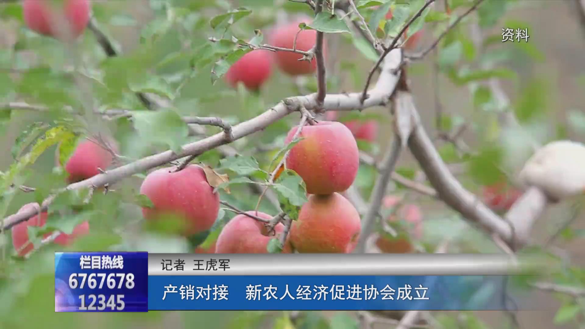 濟源網(wǎng)