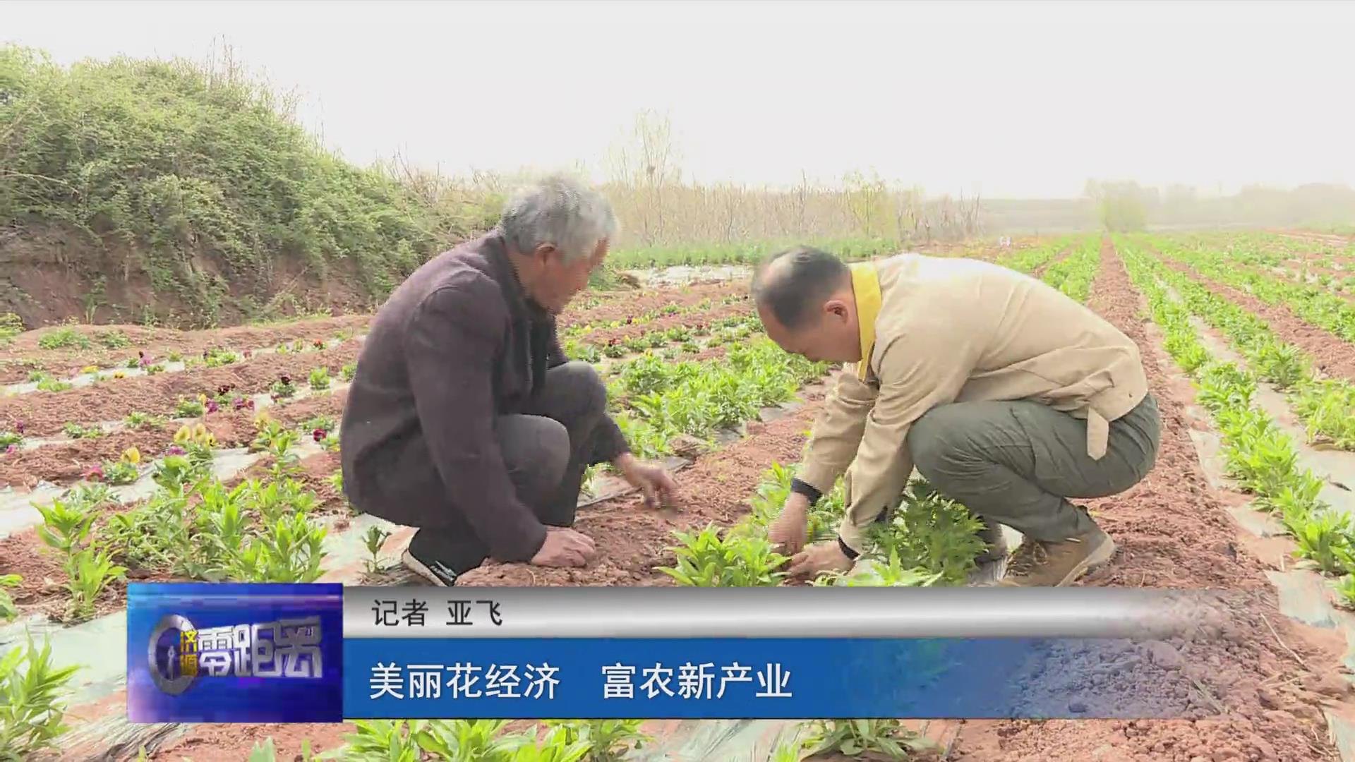 濟源網