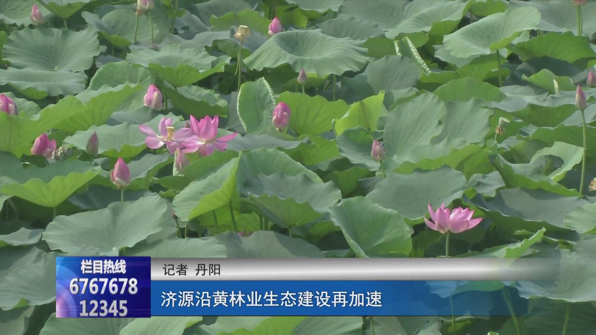 濟源網(wǎng)
