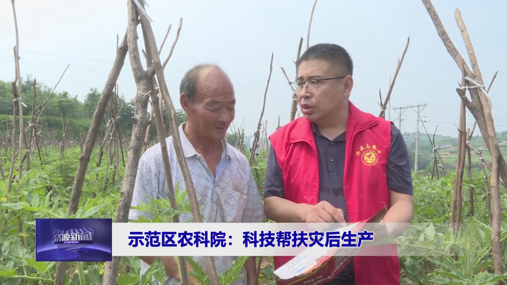 濟源網