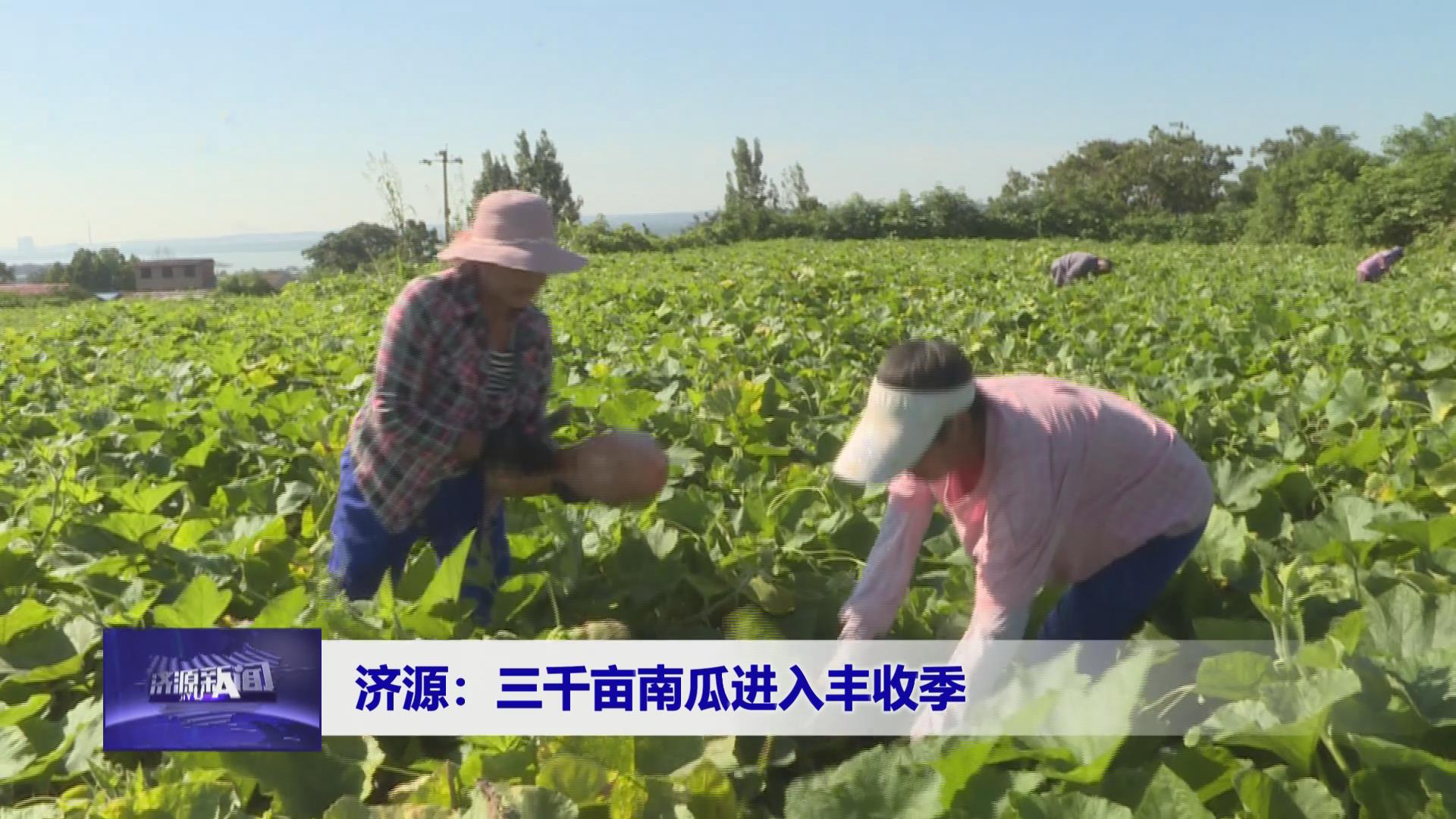 濟源網
