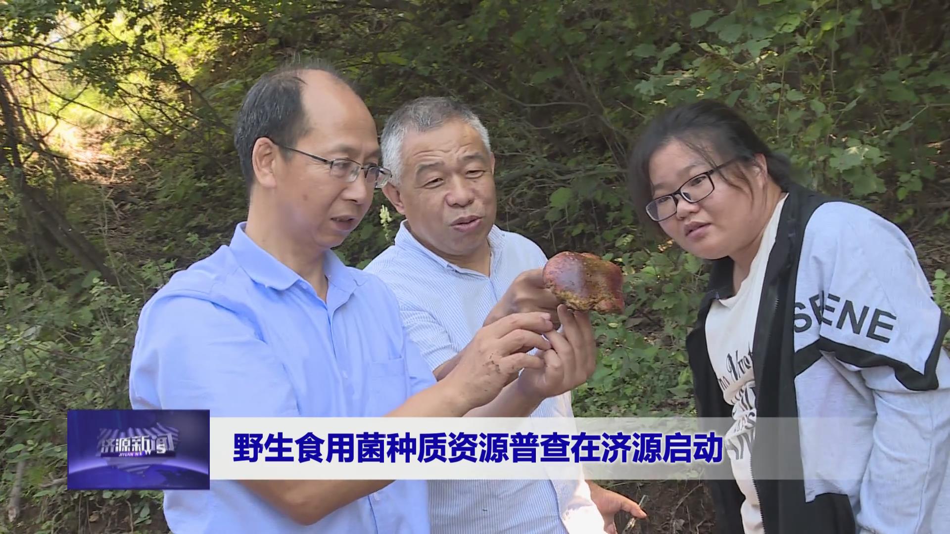 濟源網