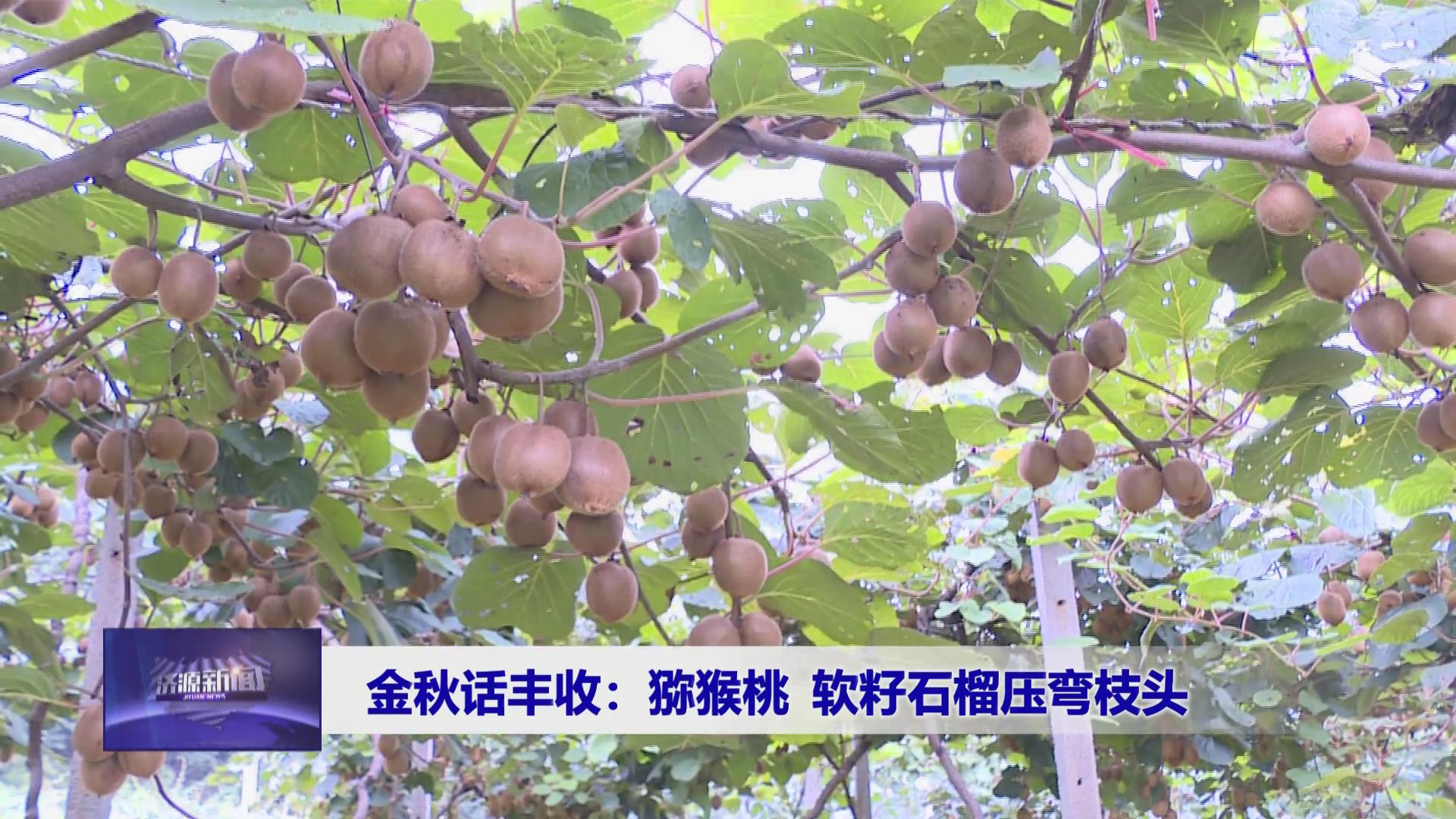 濟源網(wǎng)