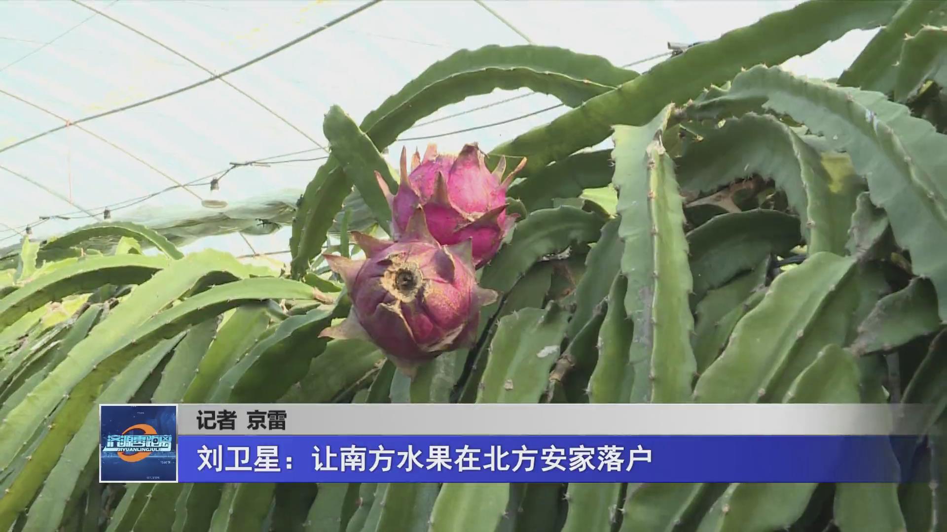 濟源網(wǎng)