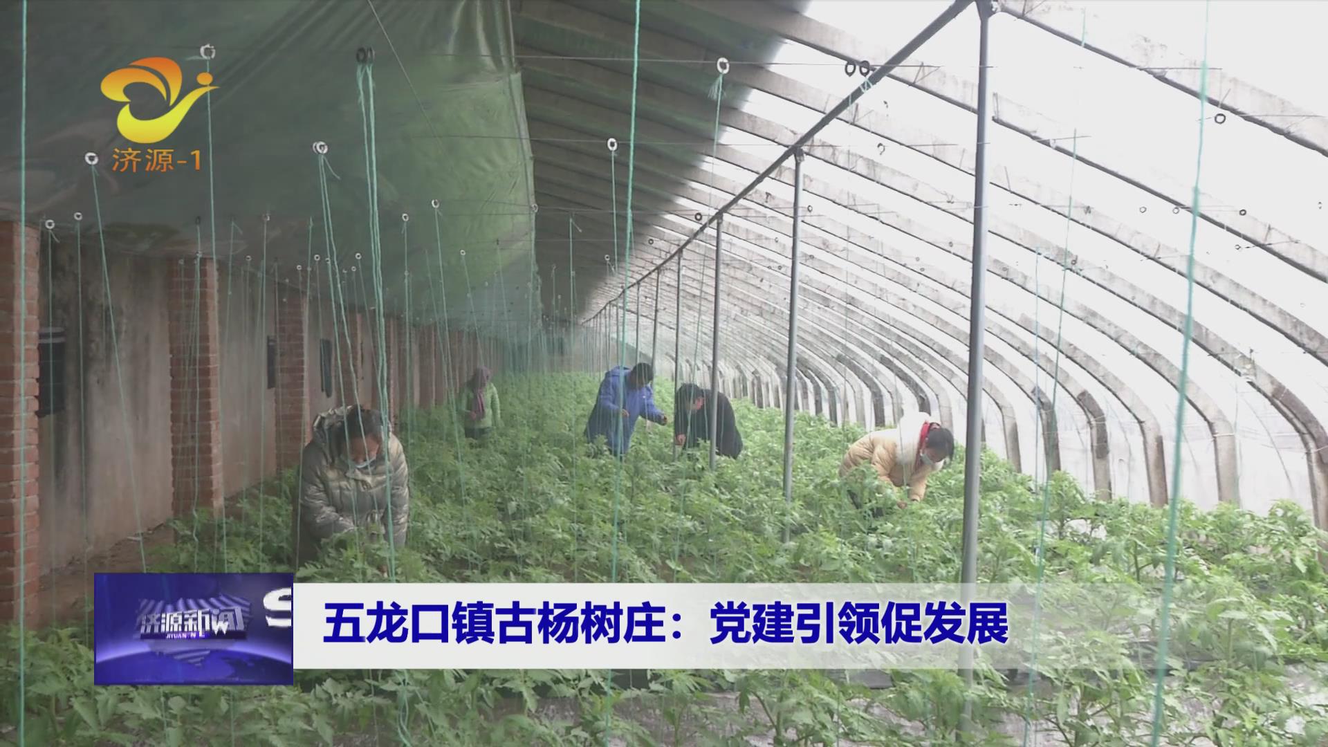 濟源網(wǎng)