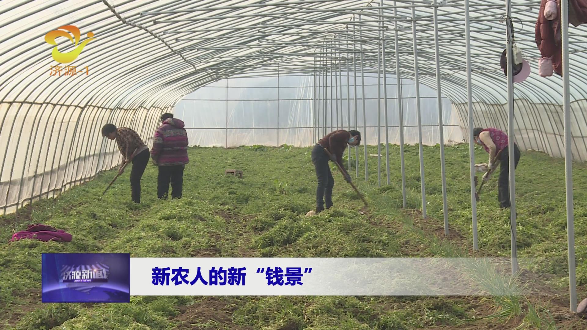 濟源網