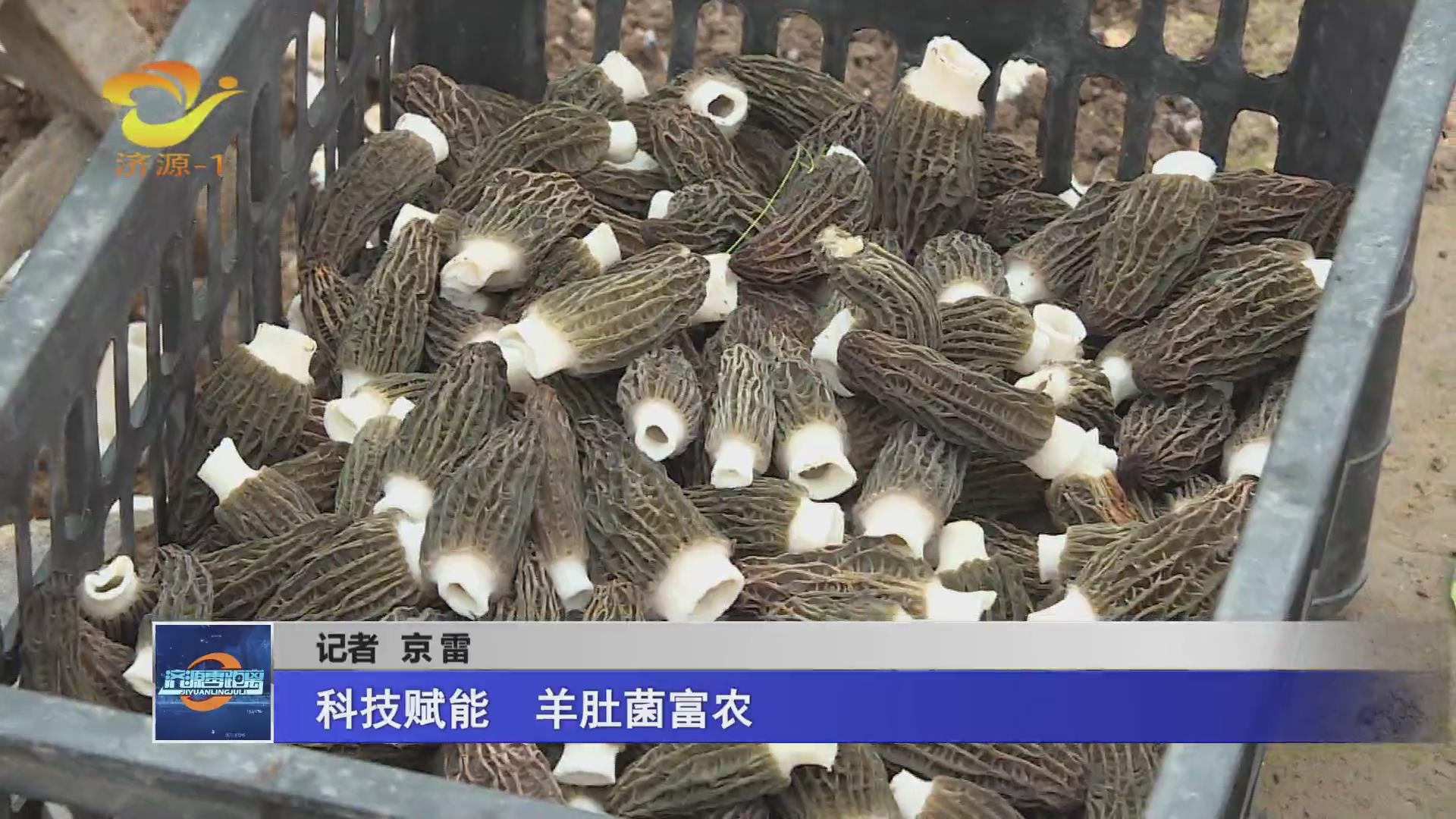 濟源網(wǎng)