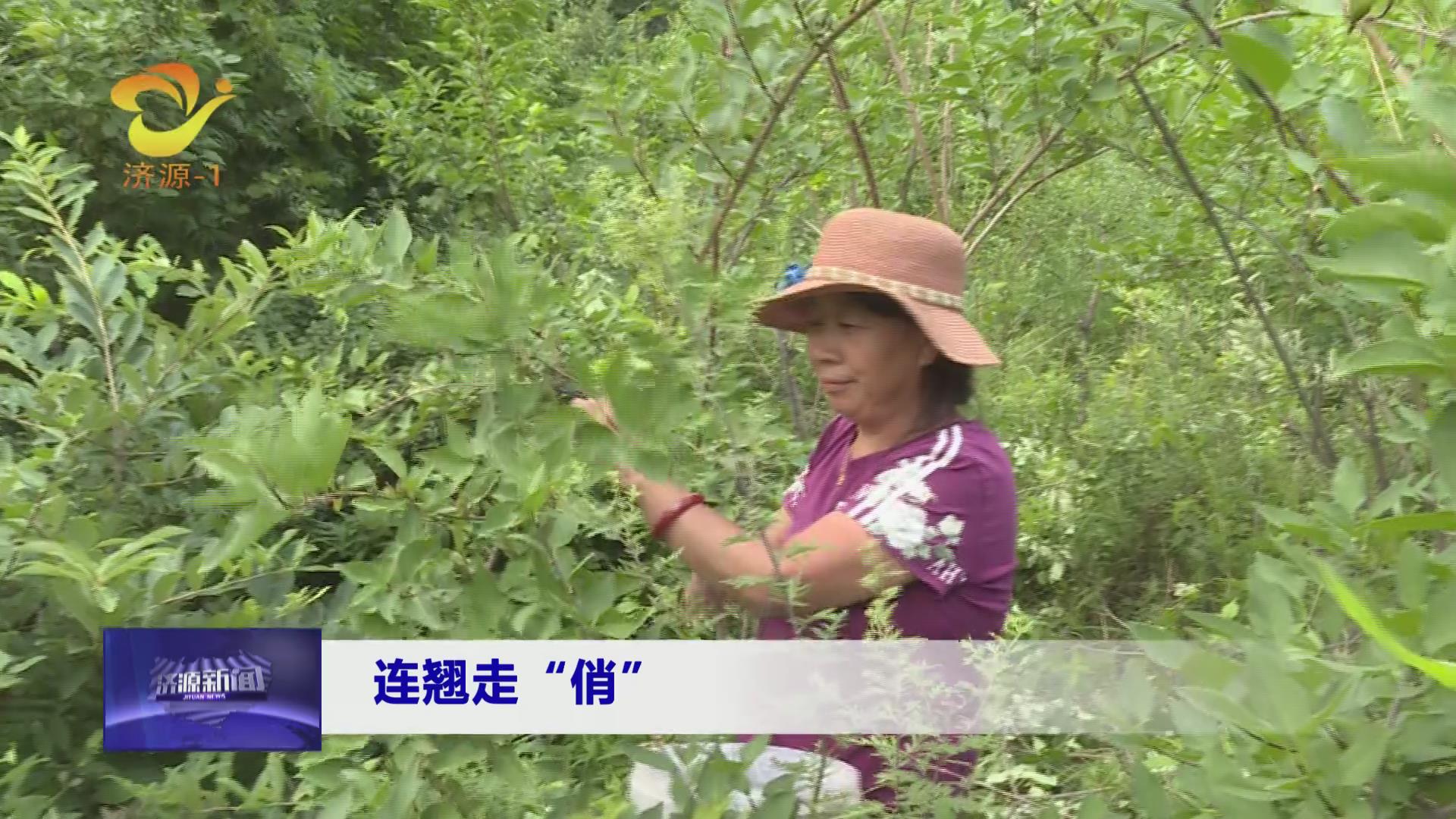 濟源網(wǎng)