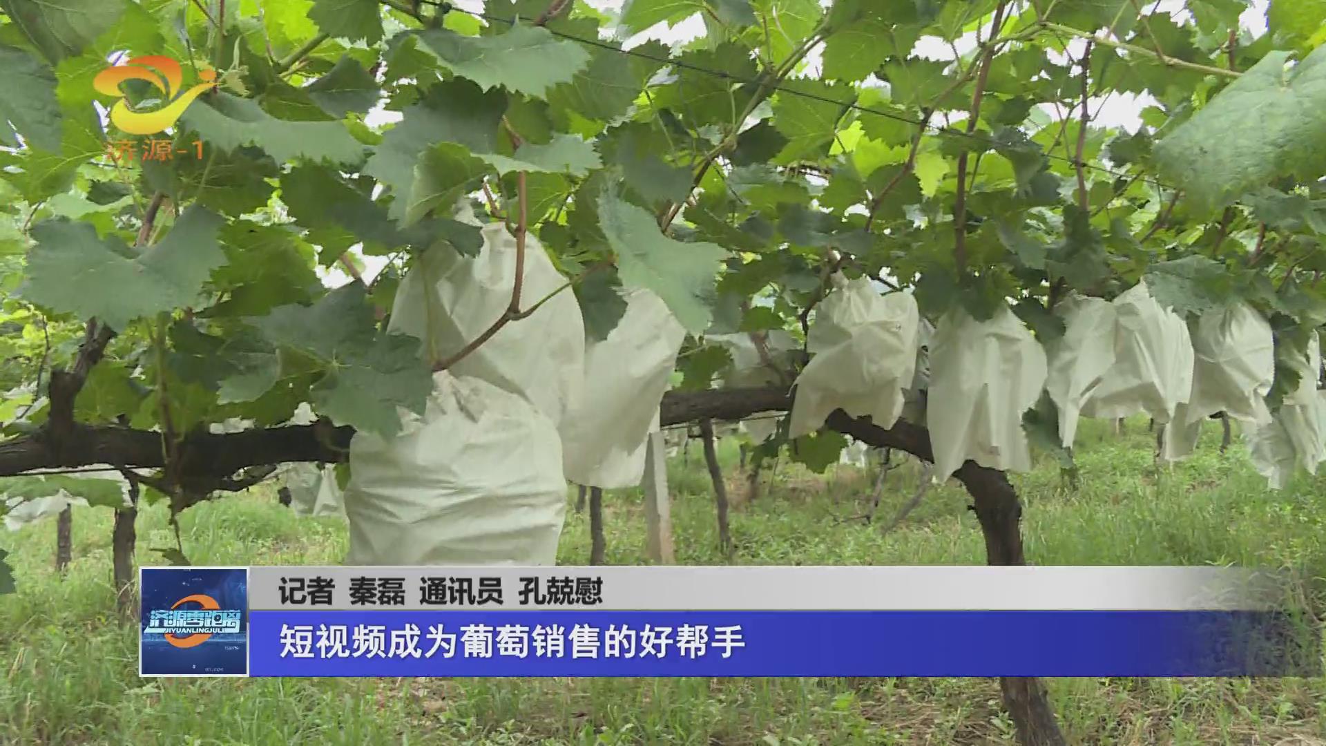濟源網