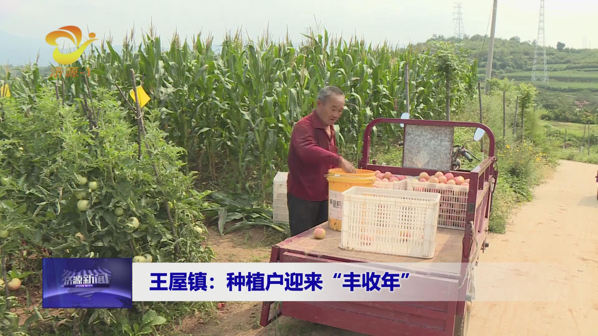 濟源網