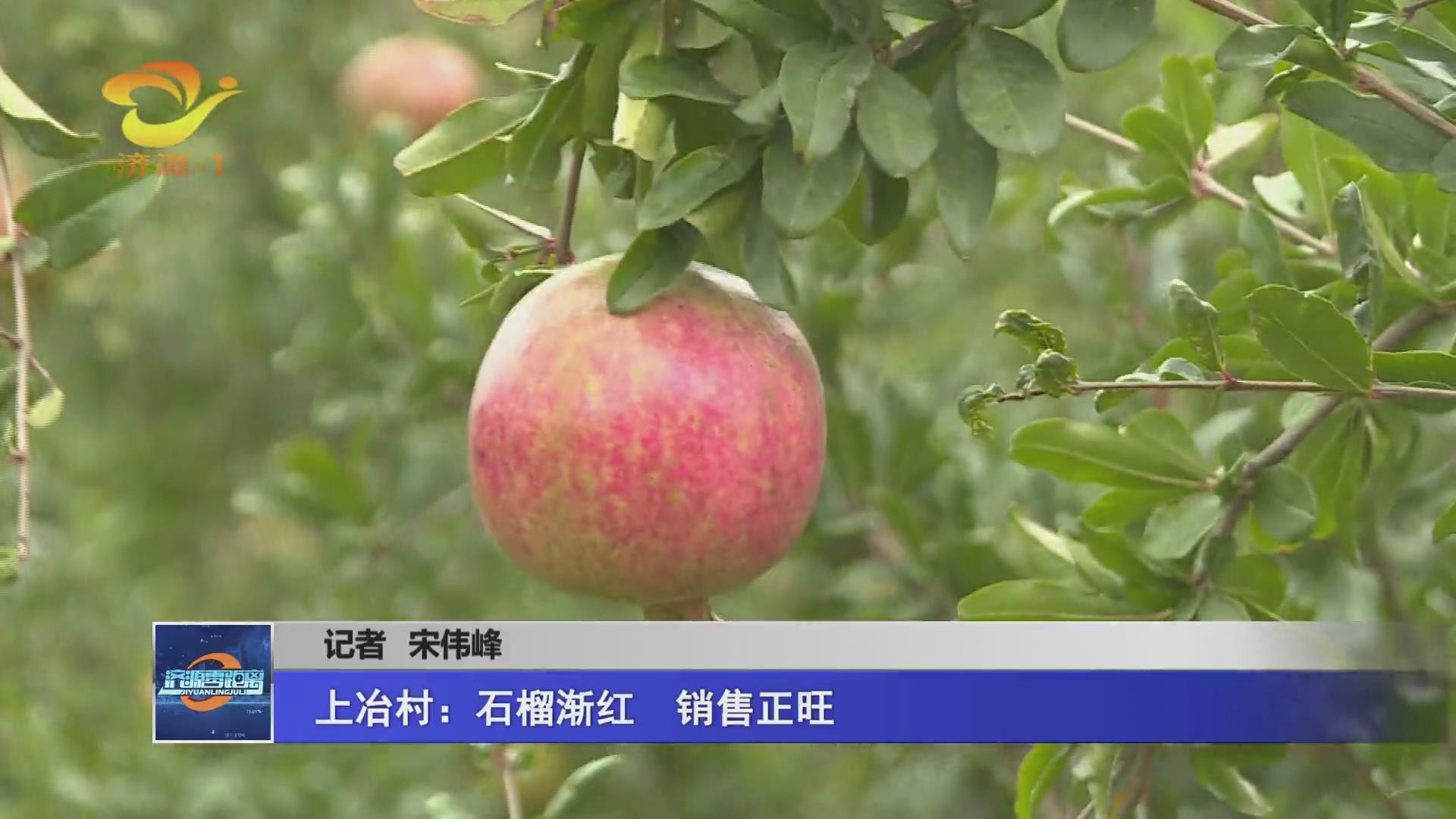 濟源網