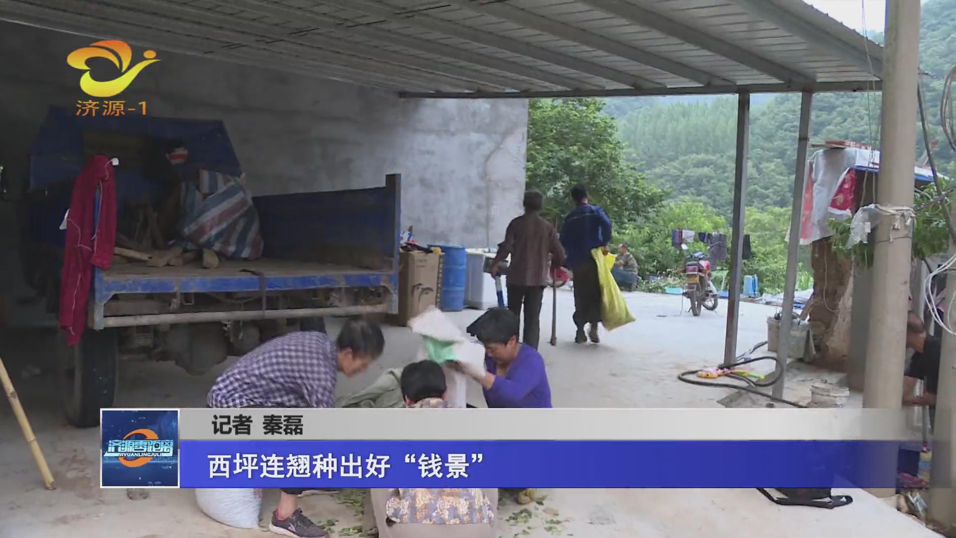 濟源網