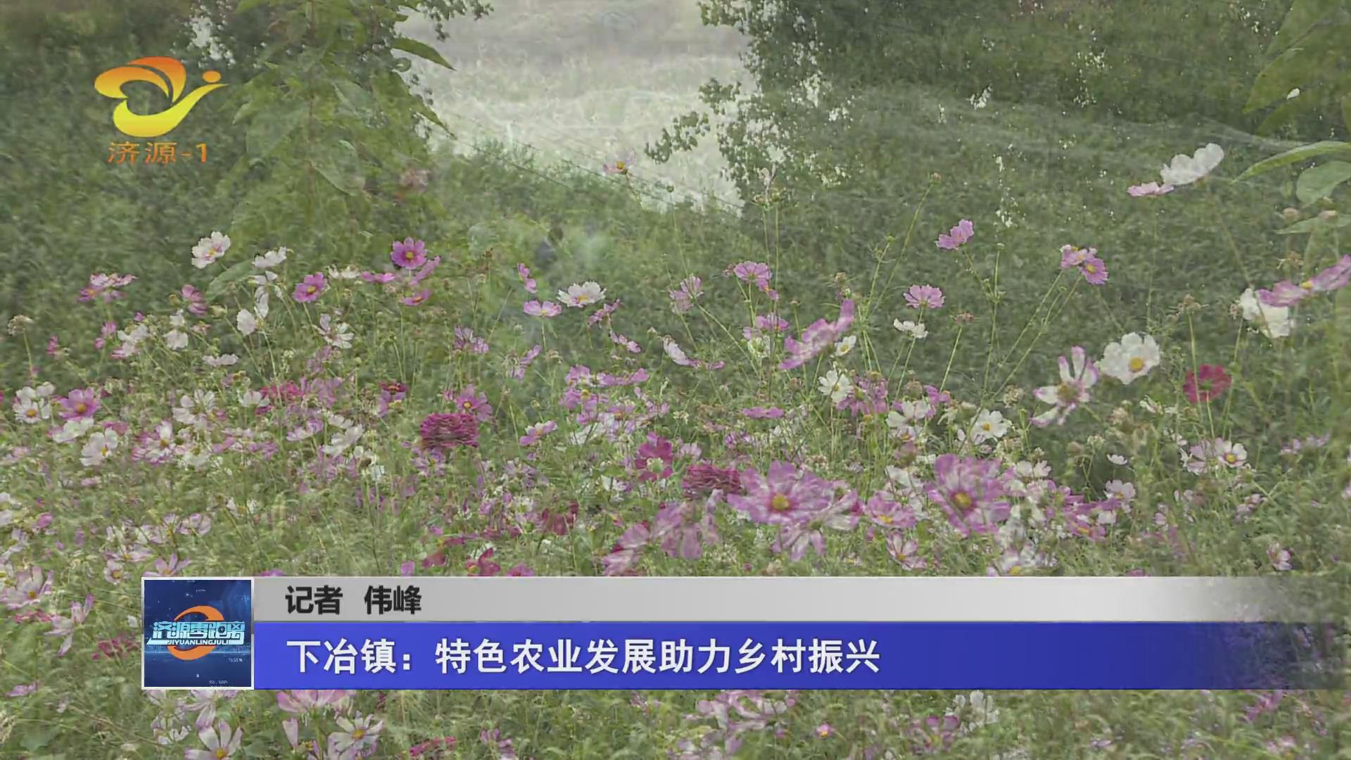 濟源網