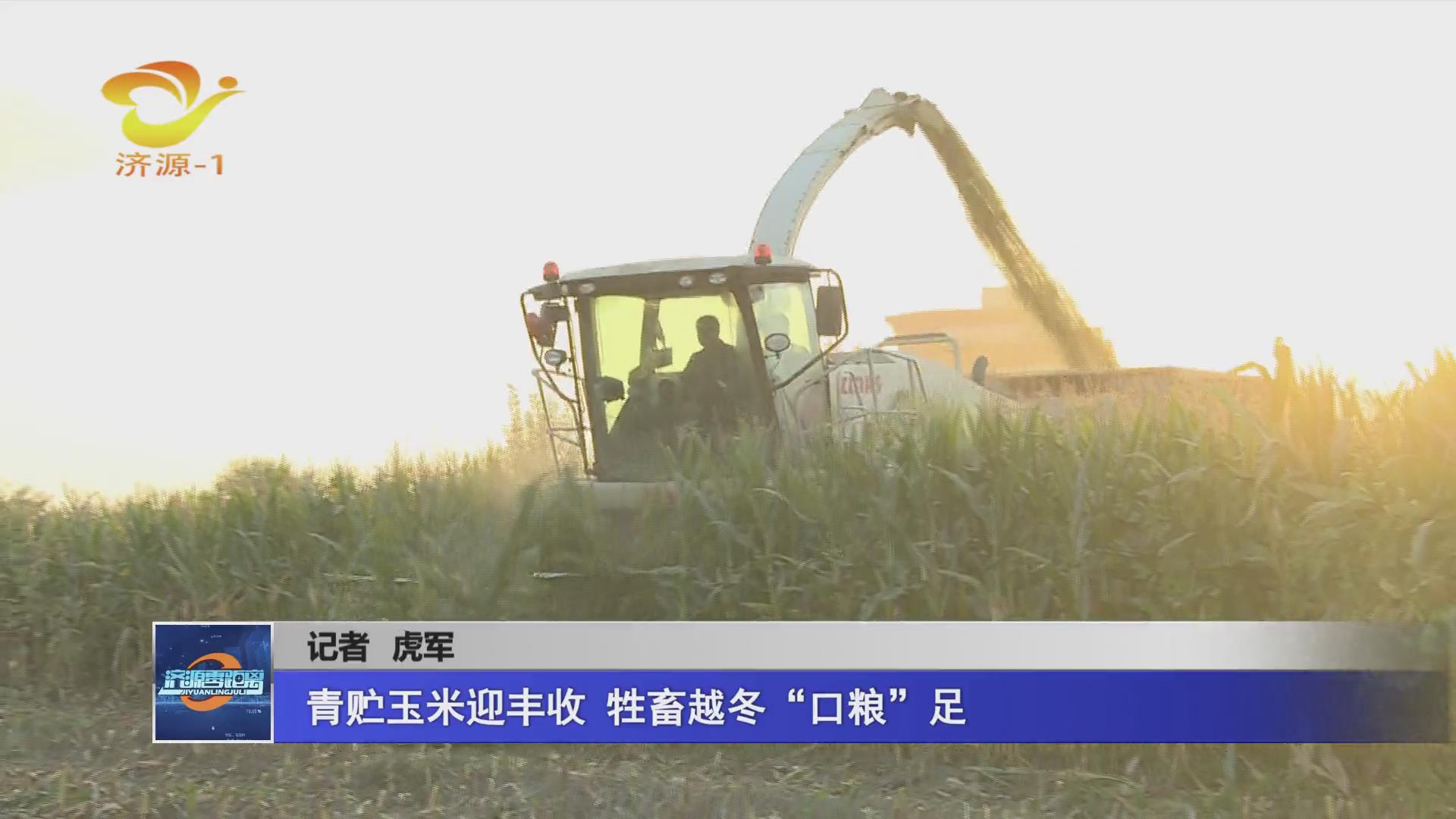 濟源網