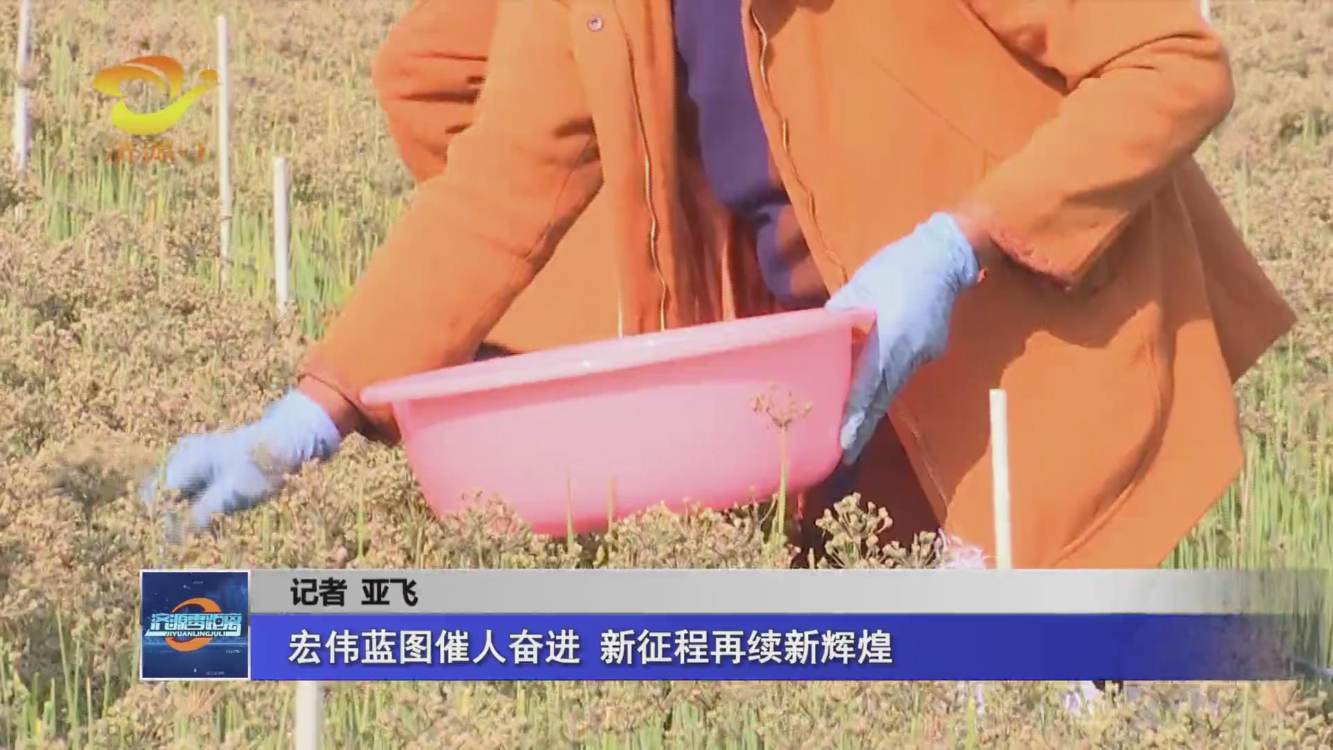 濟源網