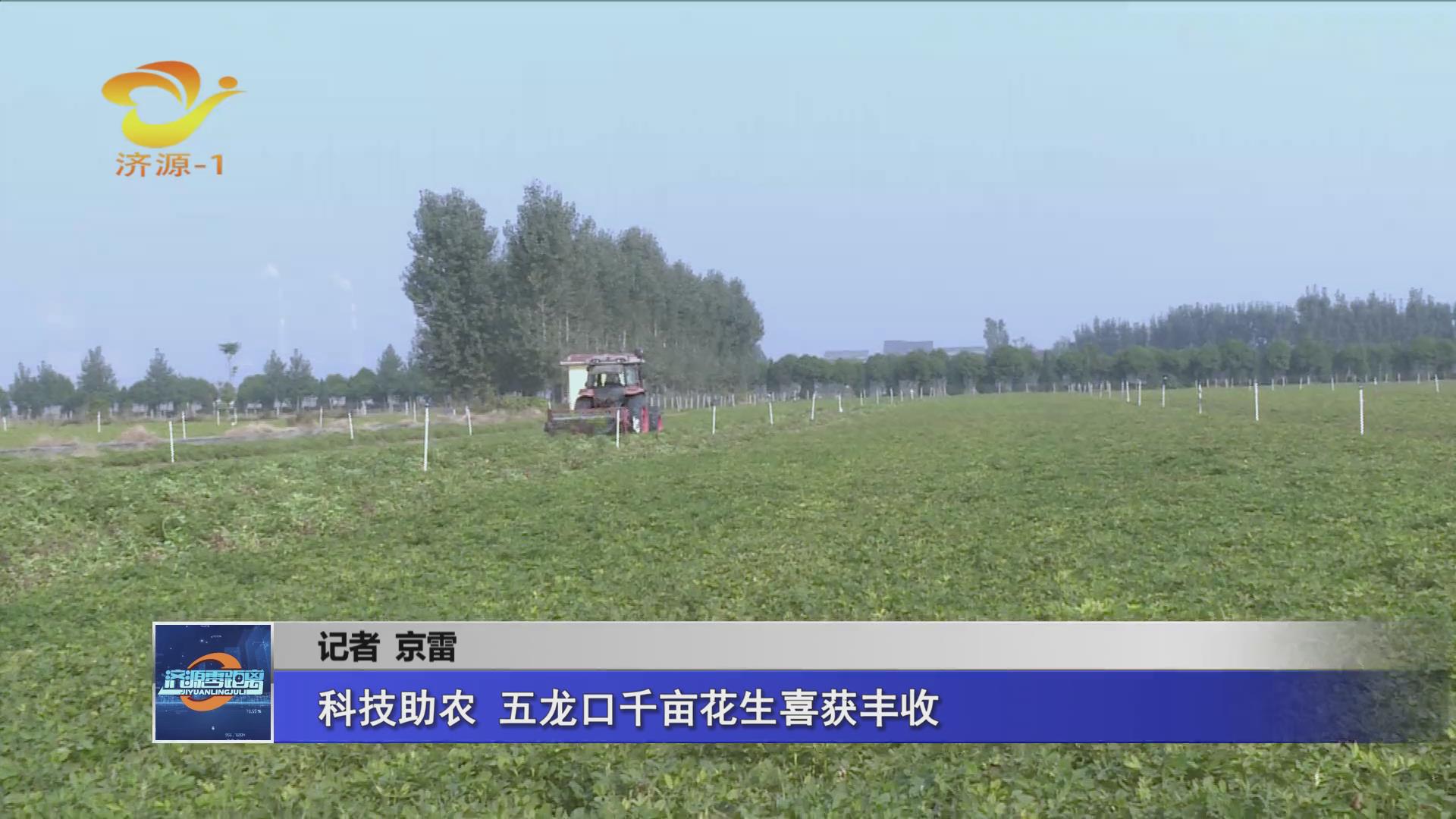 濟源網