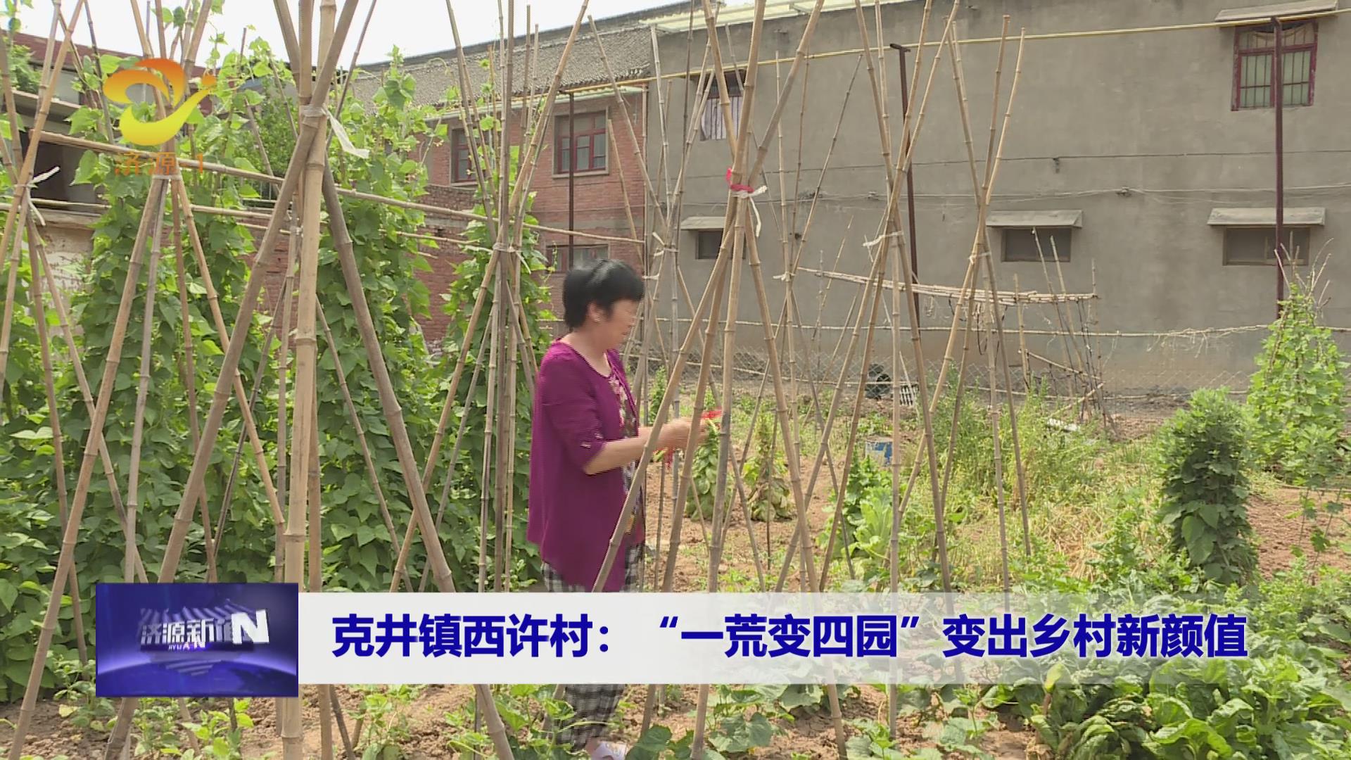 濟源網