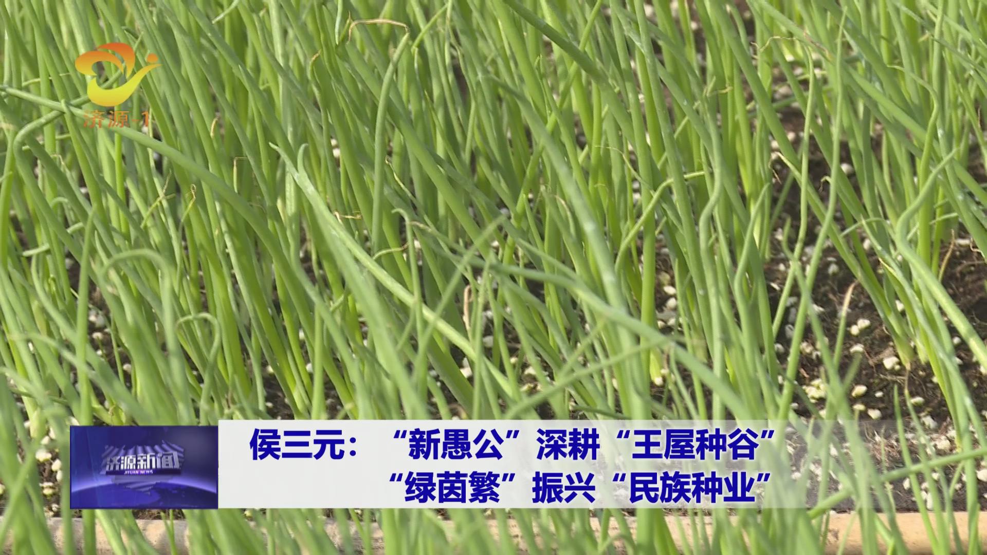 濟源網