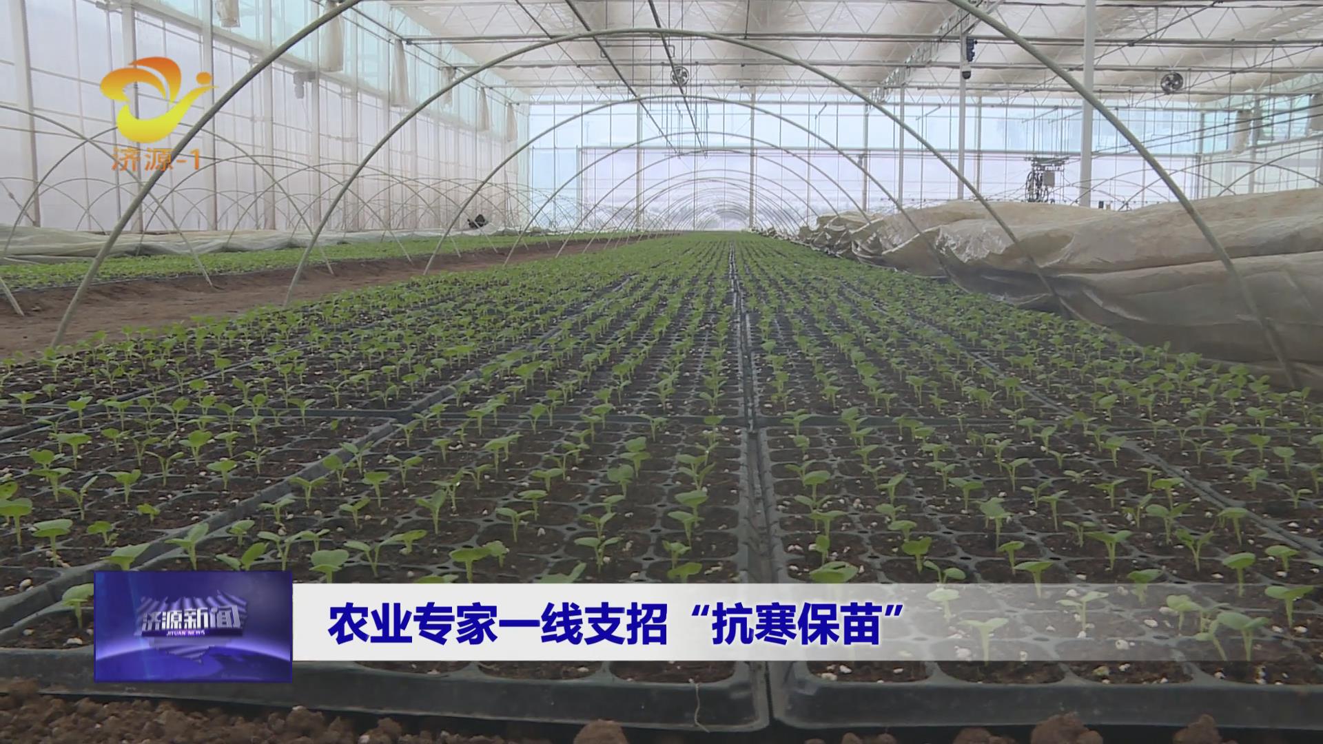 濟源網