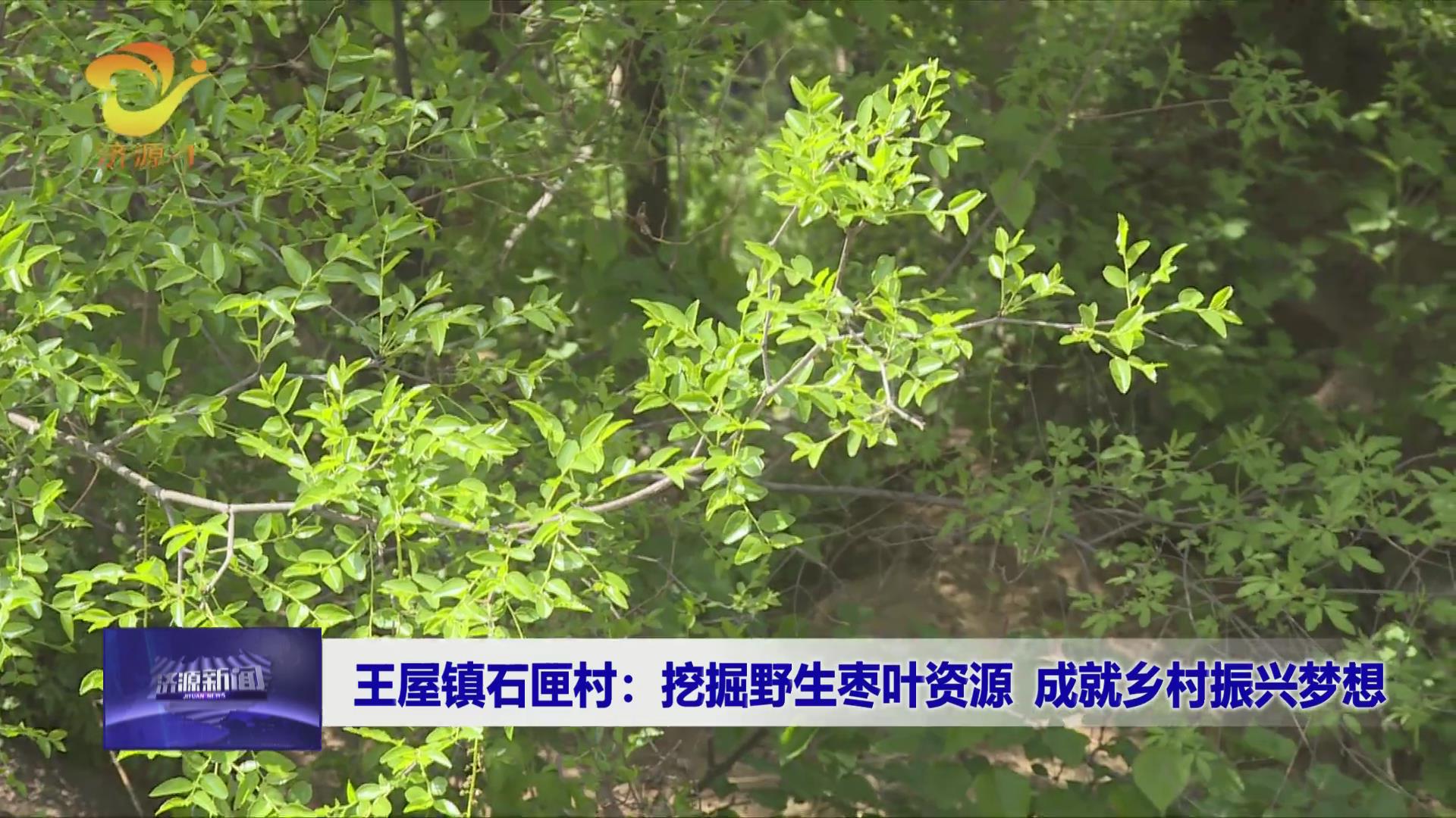 濟源網(wǎng)
