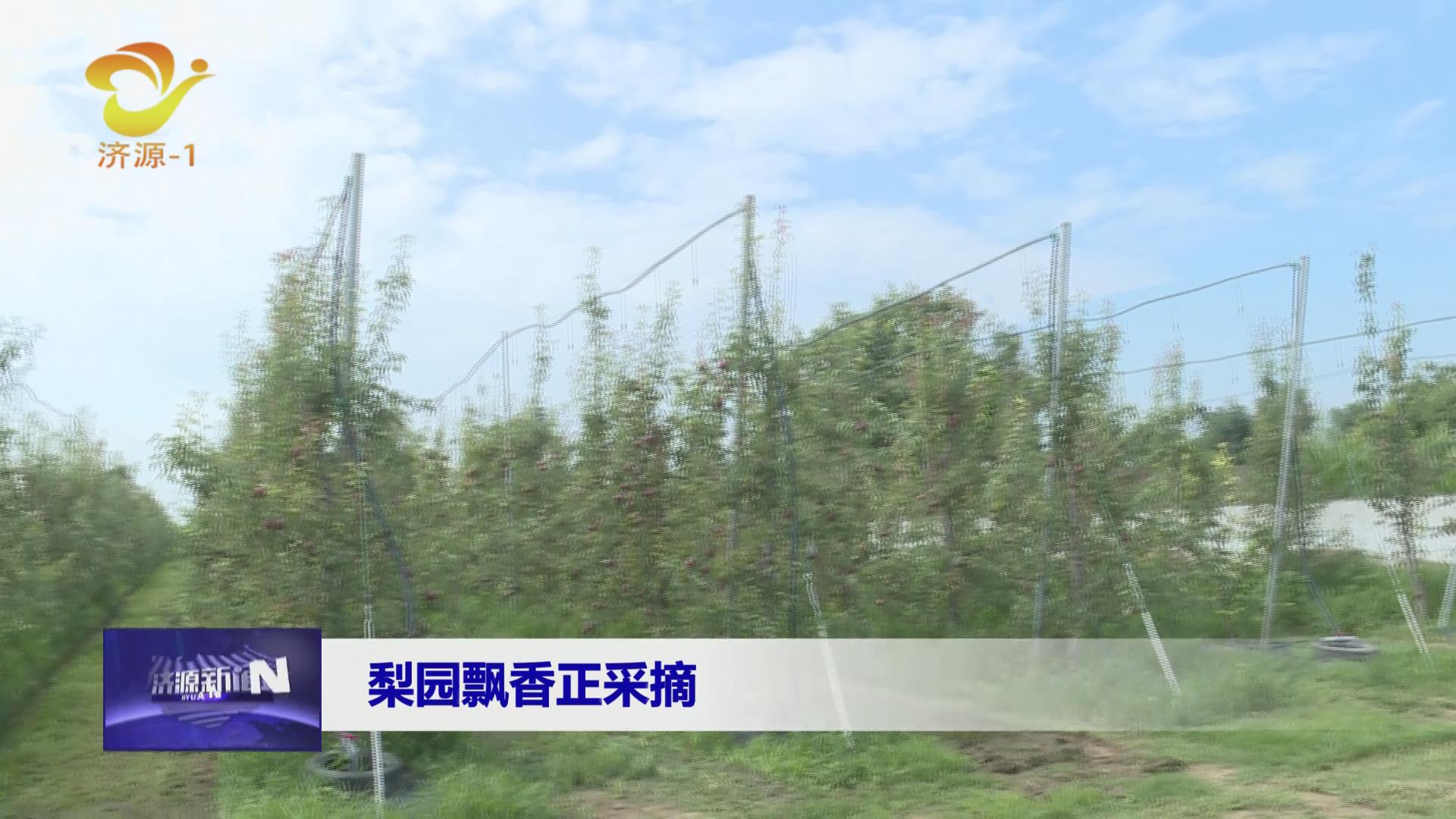 濟源網(wǎng)