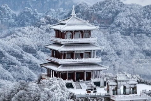 濟源網