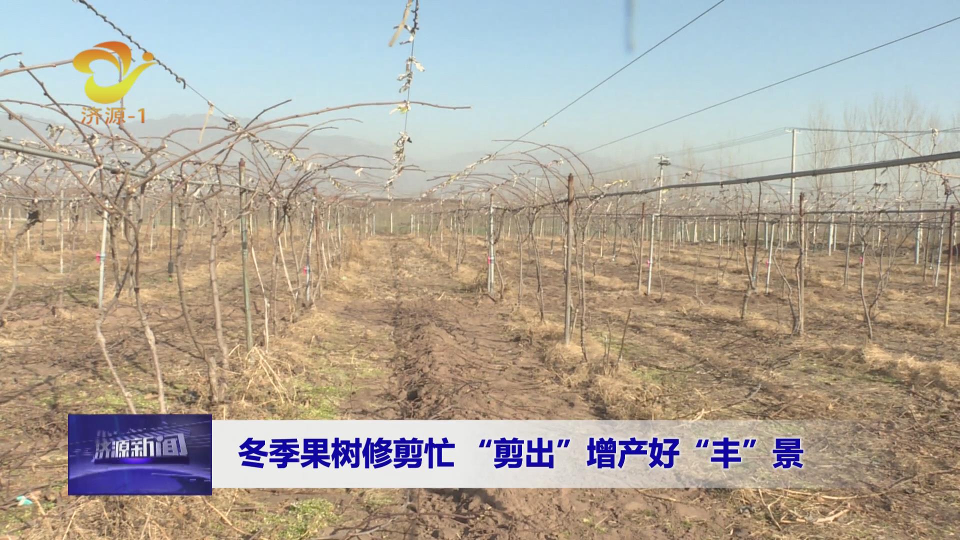 濟源網(wǎng)