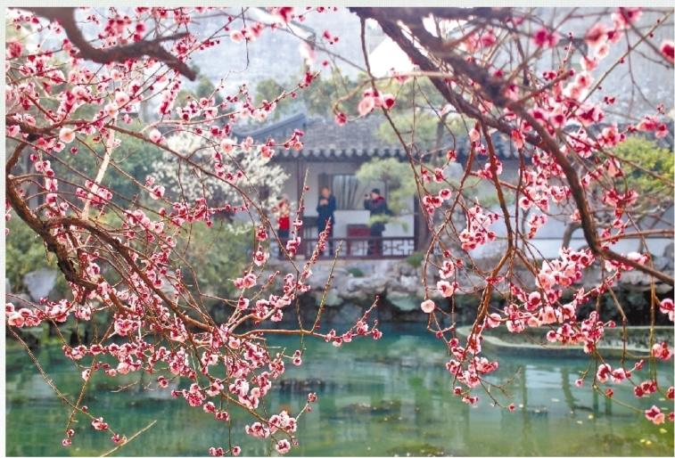 濟(jì)源網(wǎng)