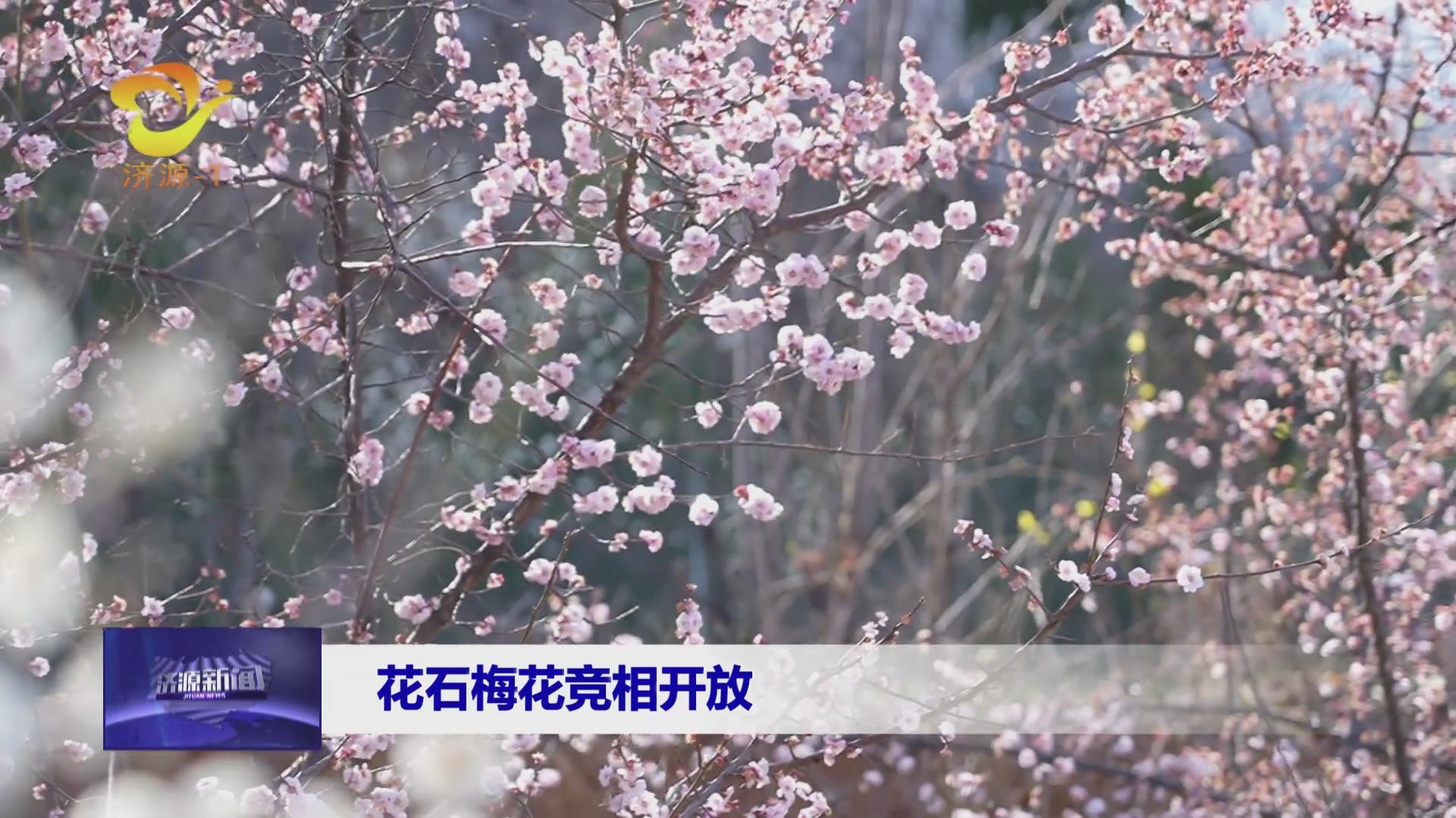 濟(jì)源網(wǎng)