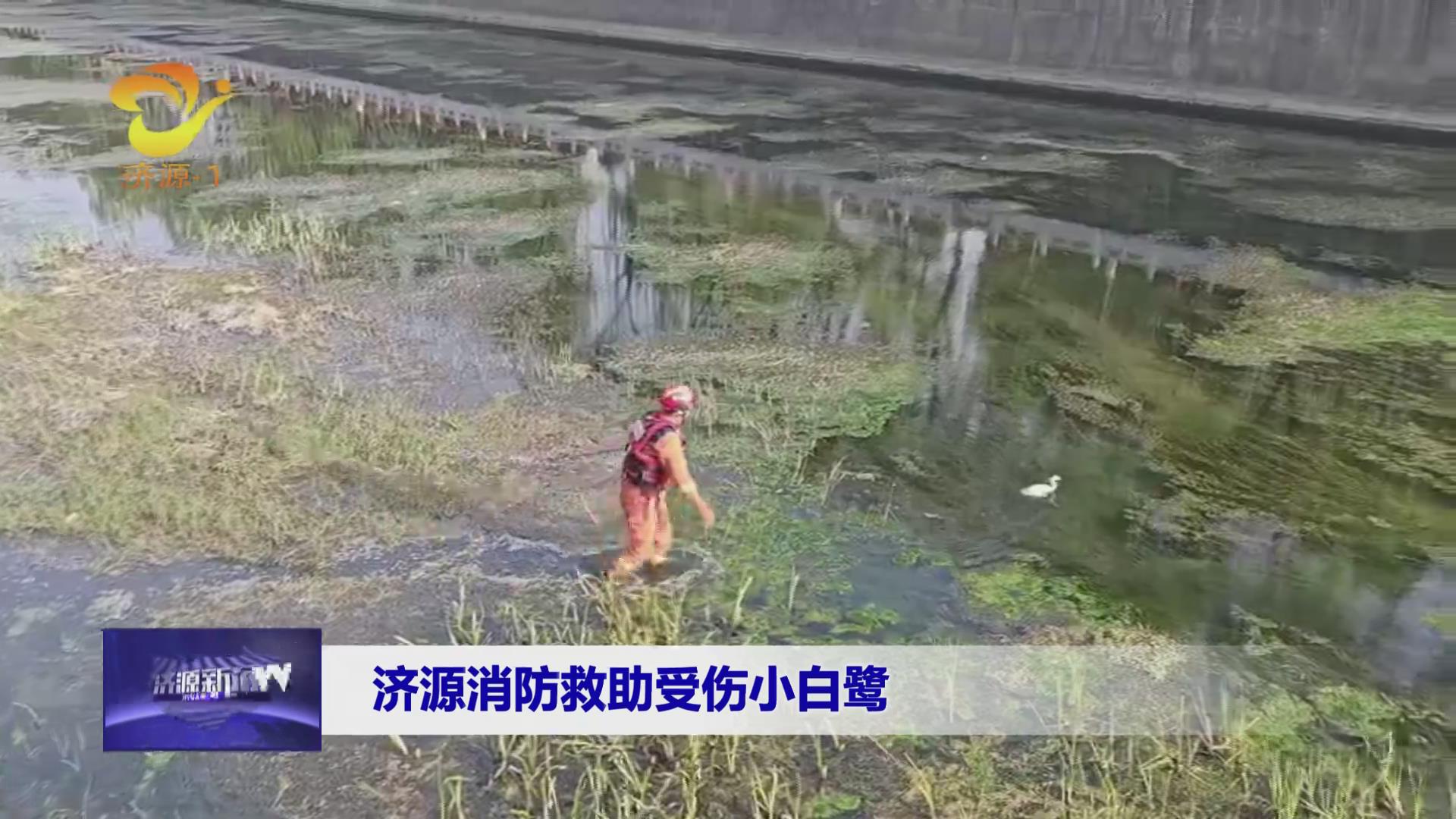 濟(jì)源網(wǎng)