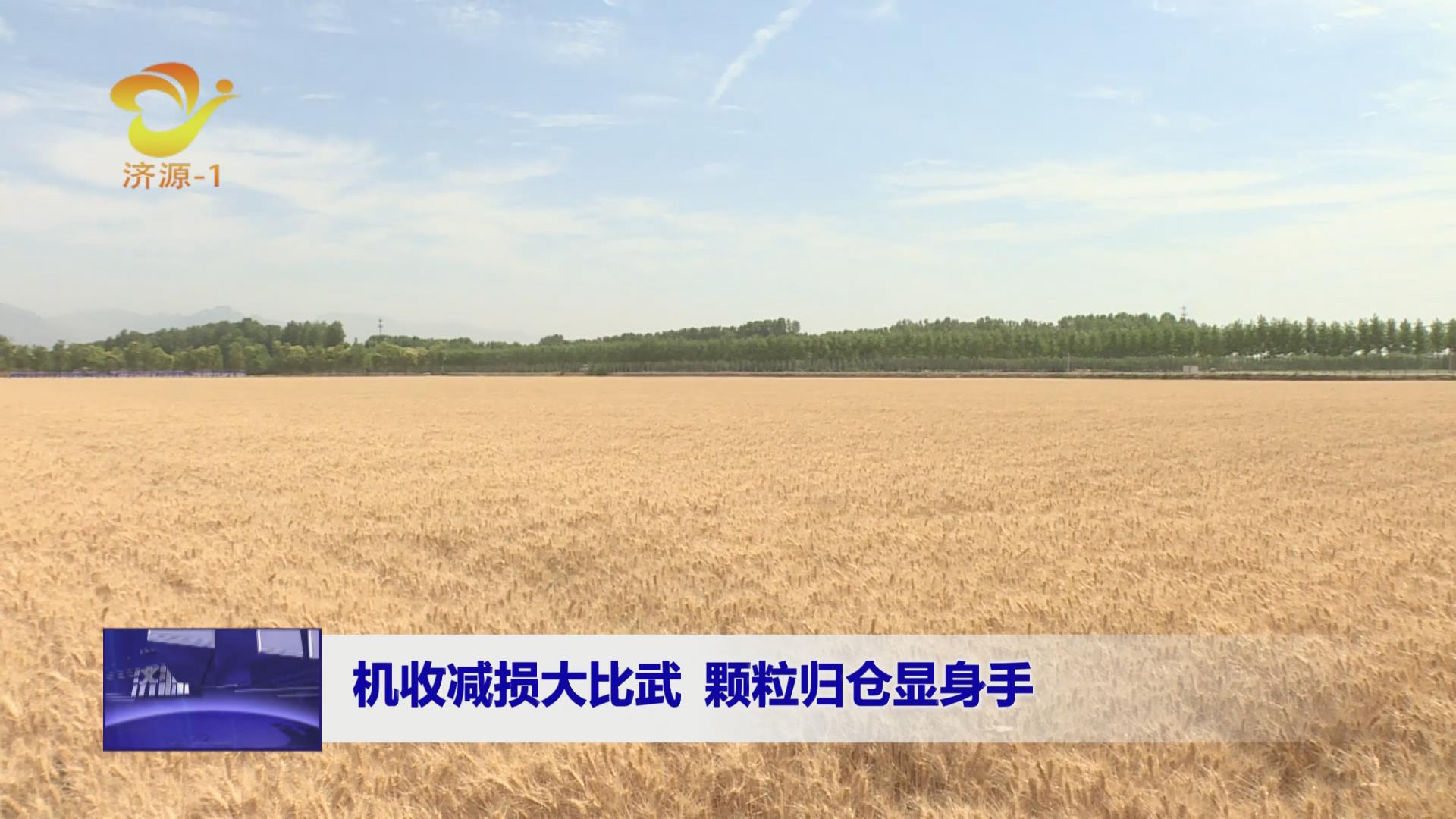 濟(jì)源網(wǎng)