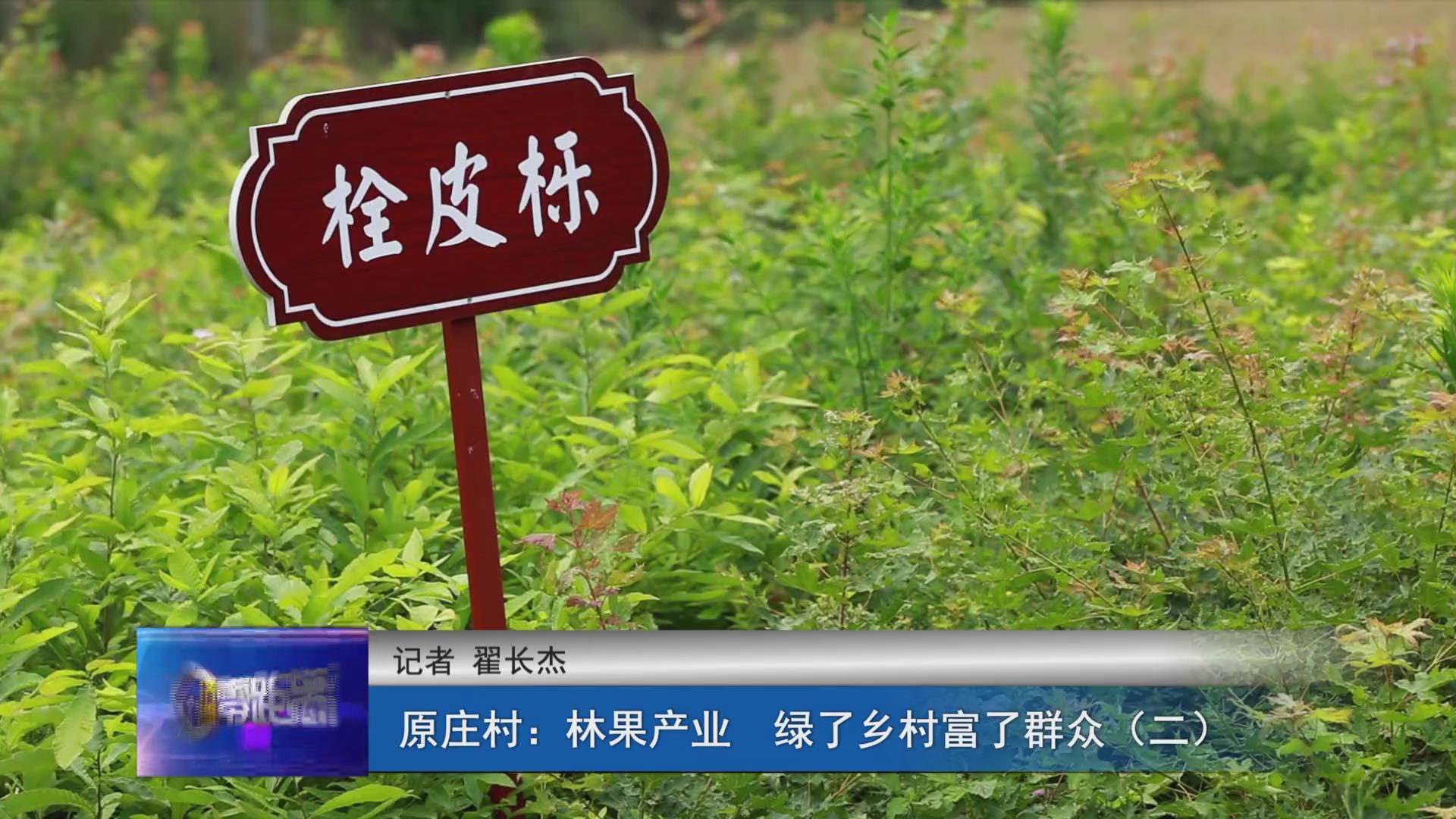 濟源網(wǎng)